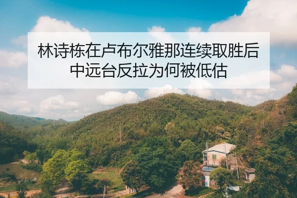 林诗栋在卢布尔雅那连续取胜后 中远台反拉为何被低估