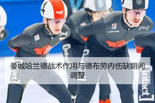 man-cheng-ha-lan-de-zhan-shu-zuo-yong-yu-de-bu-lao-nei-shang-que-qi-jian-tiao-zheng-2-921.jpg
