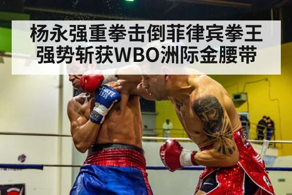 杨永强重拳击倒菲律宾拳王强势斩获WBO洲际金腰带